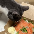 바디에딕트 유천점 이미지