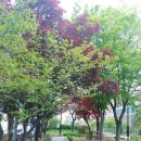 1-2호어린이공원 이미지