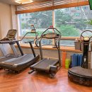 웰니스무브 이미지