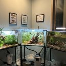 여울목 아쿠아 이미지