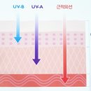 슈나이더안경 렌즈아이 이미지