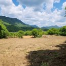 달천펜션 이미지