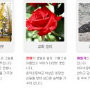 회덕초등학교 이미지