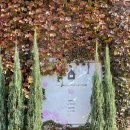 종금주유소 이미지