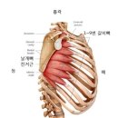 머슬메모리짐 이미지