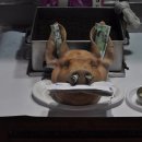 봉명2송정 이미지