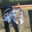 이무기낚시터 이미지