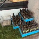 반지노래연습장 이미지