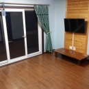 미루나무풍경 이미지