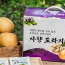 해들향 네이버블로그