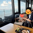 아람별방 이미지