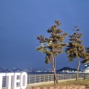 태풍조개구이 | 인천 구읍뱃터 조개구이 뛰어났던 맛집 후기