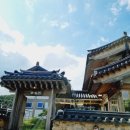 경주 해바라기뷰 바실라 카페 후기