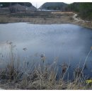 장천소한마리 이미지