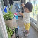 시흥하이어린이집(한결사랑어린이집) | 26개월 아기 육아일기 5.1 - 5.10