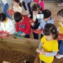 인성2농장 이미지