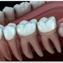 라페치과의원 이미지