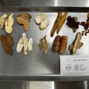 이웃집한의원 | 지속되는 월경통으로 일상생활이 어려울 때