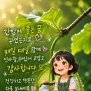 지속적인 폭염 이미지