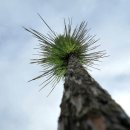 낚시천국 이미지