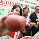 애플노래광장 - 안산시 단원구 고잔2길 73 | 애플노래광장