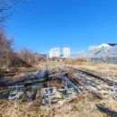 진동면사무소 이미지