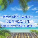 8월 절기,주요행사,기타 기념일 이미지