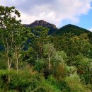 수암낚시터 이미지