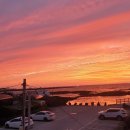 눈큰새우게스트하우스 이미지