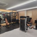 프라임리햅PT 이미지