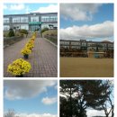 송암초등학교 이미지