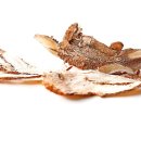 경희아양한의원 이미지