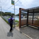 완도읍-1 이미지