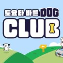 바른 이미지