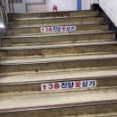 [종로&amp;충무로 가성비 꽃집] 진양꽃상가 만원대 꽃다발 구매 가능! 하나꽃집 후기