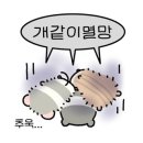 백현김밥 이미지