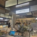 하늘땅별땅 | 서울 3대 치즈케이크 디저트 맛집 치플레 판교에서 하늘땅별땅 먹은 후기