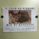 고양이 키우는 집사들 특징.jpg 이미지