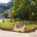 천지연주차장 이미지