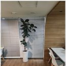 시원행정사사무소 이미지