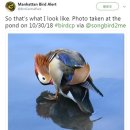 원앙파크 이미지