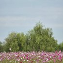 지에스25 평택오성점 이미지