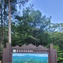 통고산자연휴양림 이미지