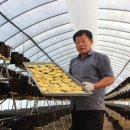 애지농장 이미지