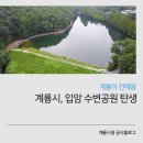 입암소류지 네이버블로그