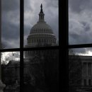 미주말리 이미지