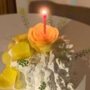 플로리즈 이미지