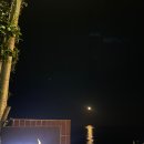 어달빛 스테이 이미지