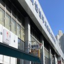 젤티코 이미지