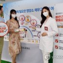 알파라인 이미지